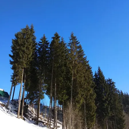 Iron Bridge バコヴェル