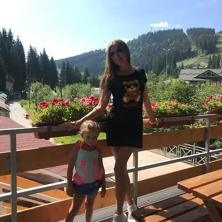 Iron Bridge Hotel Boekovel