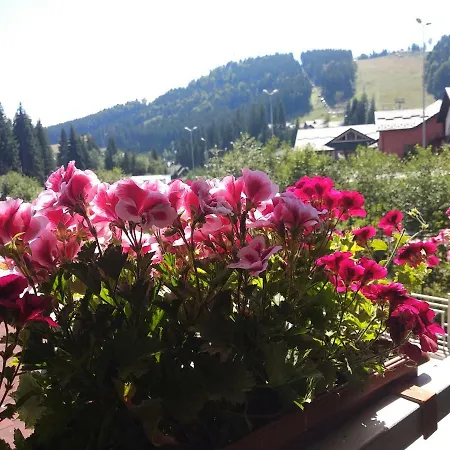 Iron Bridge ホテル バコヴェル