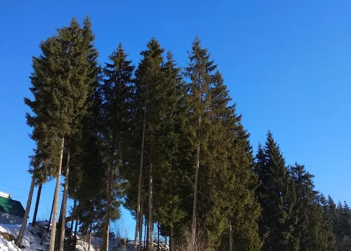 Iron Bridge Bukovel
